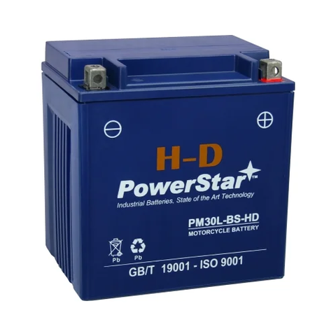 PowerStar 12 Volt 30 Amp Hour 66010-97C Battery for Harley-Davidson Motorcycles