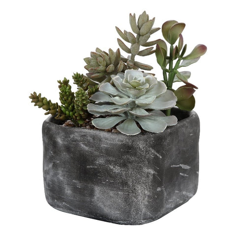 Contemporary Plastic Iron Cement Succulents in Black/Green