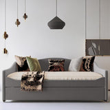 Terrane Upholstered Daybed with Trundle and LED Light Strips